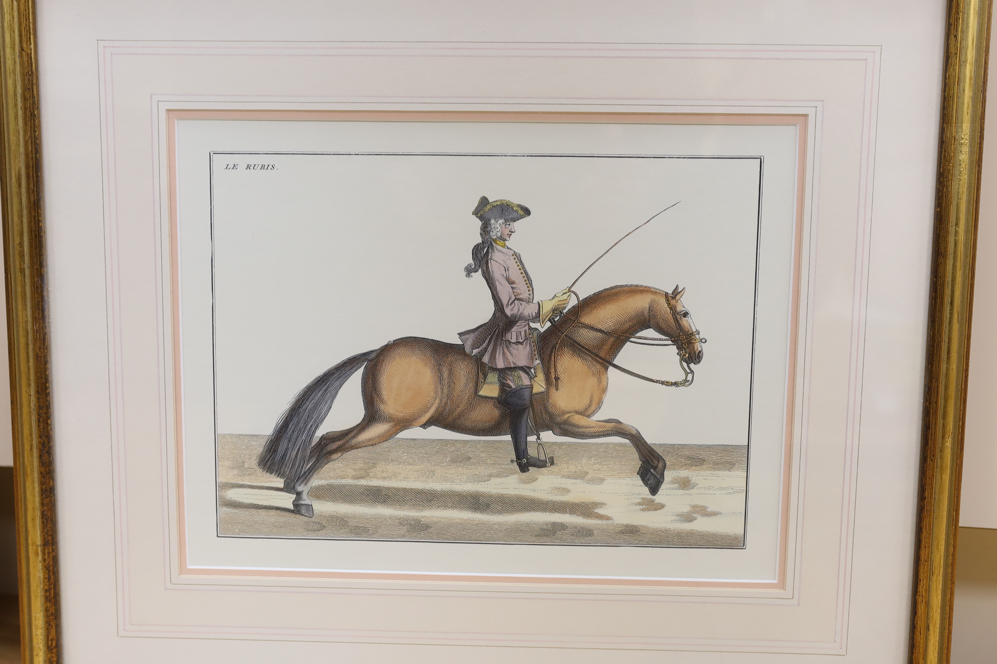 After Baron Eisenberg (German, 1695-1770), set of six coloured equestrian engravings, including Le Sage, Le Rubis and Le Modeste, each 25 x 32cm